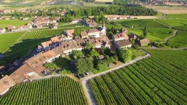 Lozan ve Cenevre, İsviçre - Uhd arasında bağ alanlarının 4 k hava görüntüleri