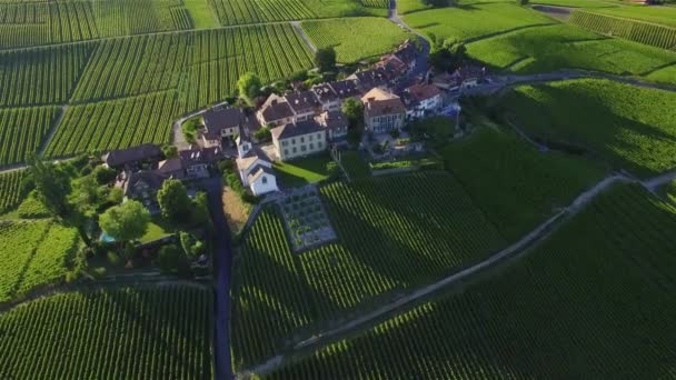 Luftaufnahmen Von Weinfeldern Zwischen Lausanne Und Genf Der Schweiz Uhd — Stockvideo