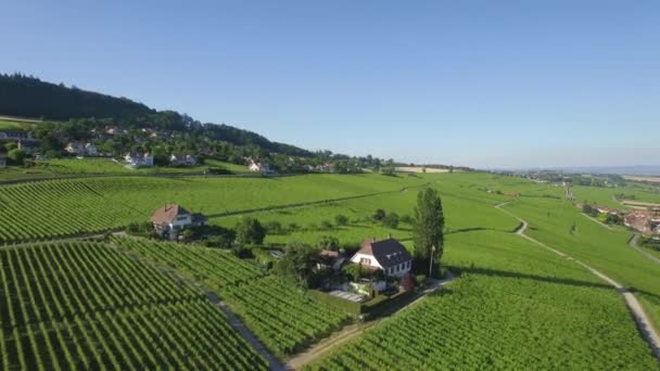 评分在瑞士洛桑和日内瓦之间的葡萄园场空中录像 Uhd — 图库视频影像