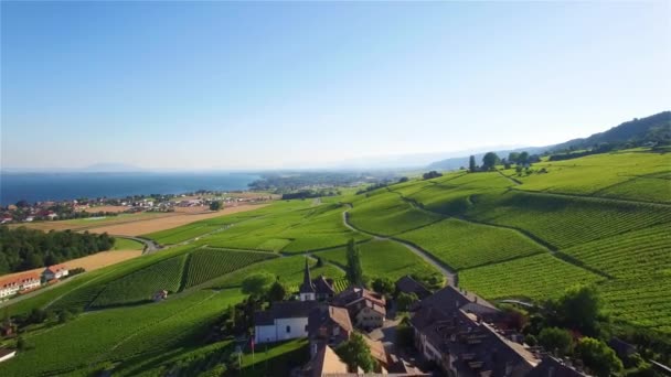 瑞士洛桑与日内瓦之间葡萄园场的空中录像 Uhd — 图库视频影像