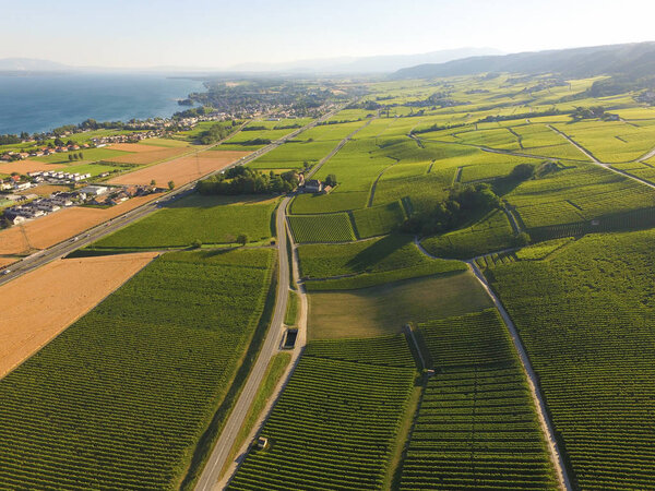 Aerial of Vineyard fields between Lausanne and Geneva in Switzerland