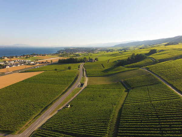 Aerial of Vineyard fields between Lausanne and Geneva in Switzerland