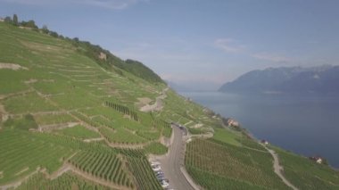4 yetersiz k hava görüntüleri Terrasses de Lavaux Lausanne İsviçre - Uhd yakınındaki üzüm bağı alanlarının