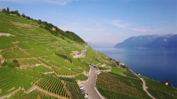 Luchtfoto Beelden Van Wijngaard Velden Terrasses Lavaux Buurt Van Lausanne — Stockvideo