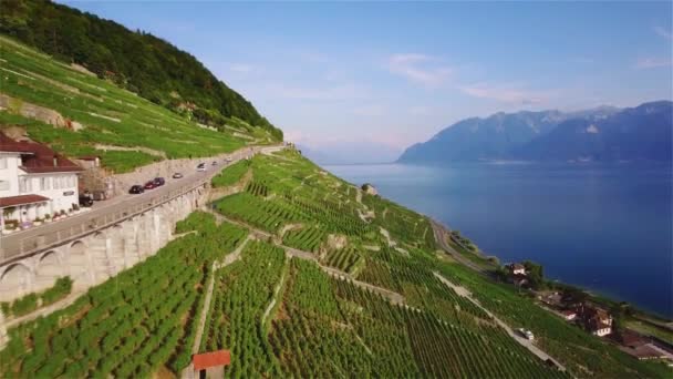 瑞士洛桑附近 Terrasses Lavaux 葡萄园场的空中录像 Uhd — 图库视频影像