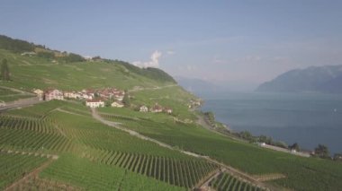 4 yetersiz k hava görüntüleri Terrasses de Lavaux Lausanne İsviçre - Uhd yakınındaki üzüm bağı alanlarının