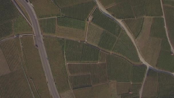 瑞士洛桑附近 Terrasses Lavaux 葡萄园田评分空中录像 Uhd — 图库视频影像