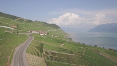 4 yetersiz k hava görüntüleri Terrasses de Lavaux Lausanne İsviçre - Uhd yakınındaki üzüm bağı alanlarının