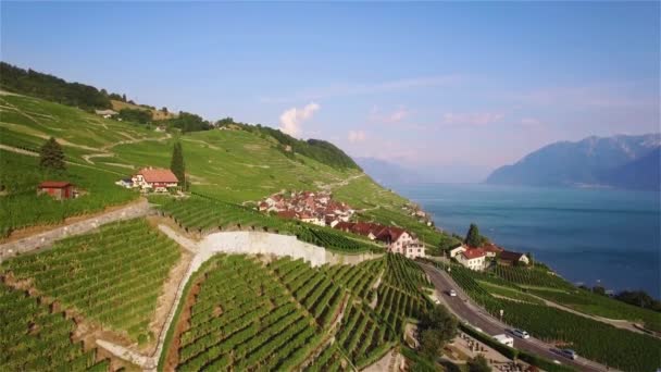 Повітряних Кадри Виноградник Полів Регіоні Lavaux Terrasses Поблизу Лозанни Швейцарії — стокове відео