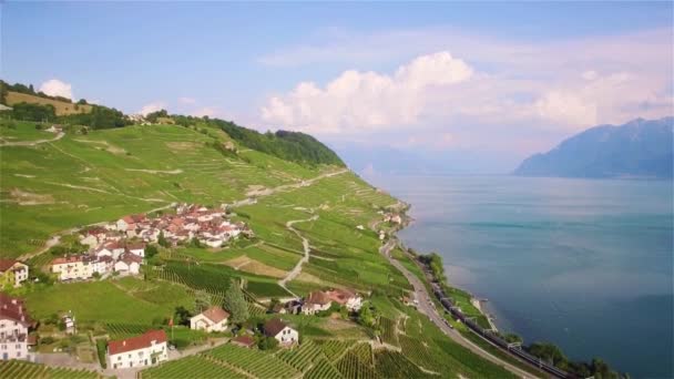 Повітряних Кадри Виноградник Полів Регіоні Lavaux Terrasses Поблизу Лозанни Швейцарії — стокове відео