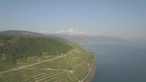 瑞士洛桑附近 Terrasses Lavaux 葡萄园田评分空中录像 Uhd — 图库视频影像