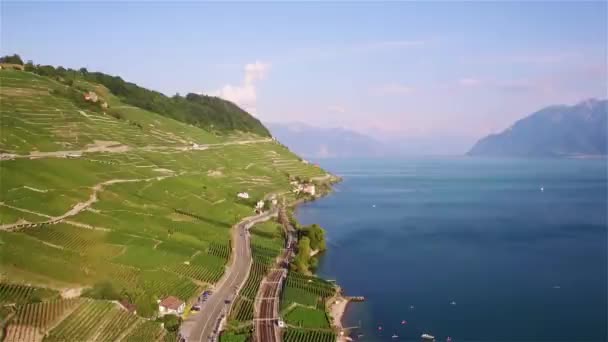 Images Aériennes Des Champs Vignoble Terrasses Lavaux Près Lausanne Suisse — Video