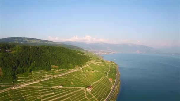 瑞士洛桑附近 Terrasses Lavaux 葡萄园场的空中录像 Uhd — 图库视频影像