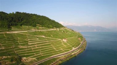 4 k hava görüntüleri Terrasses de Lavaux Lausanne İsviçre - Uhd yakınındaki üzüm bağı alanlarının