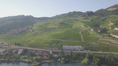 4 yetersiz k hava görüntüleri Terrasses de Lavaux Lausanne İsviçre - Uhd yakınındaki üzüm bağı alanlarının