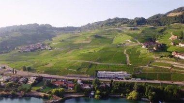 4 k hava görüntüleri Terrasses de Lavaux Lausanne İsviçre - Uhd yakınındaki üzüm bağı alanlarının
