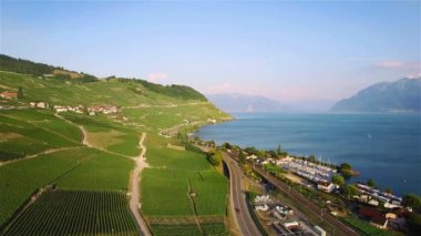 4 k hava görüntüleri Terrasses de Lavaux Lausanne İsviçre - Uhd yakınındaki üzüm bağı alanlarının