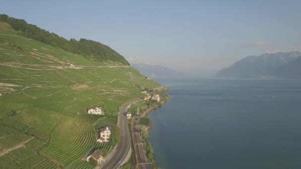 Ungraded Aerial Footage Vineyard Fields Terrasses Lavaux Lausanne Switzerland Uhd — Stock Video