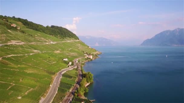 瑞士洛桑附近 Terrasses Lavaux 葡萄园场的空中录像 Uhd — 图库视频影像