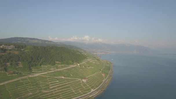 Unbearbeitete Luftaufnahmen Von Weinfeldern Terrasses Lavaux Bei Lausanne Der Schweiz — Stockvideo