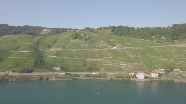 瑞士洛桑附近 Terrasses Lavaux 葡萄园田评分空中录像 Uhd — 图库视频影像