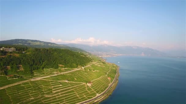 Aerial Film Vingården Fält Terrasses Lavaux Nära Lausanne Schweiz Uhd — Stockvideo