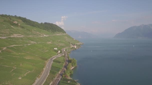 Ale Funkcjonalny Ujęcia Winnicy Pól Terrasses Lavaux Pobliżu Lozannie Szwajcarii — Wideo stockowe