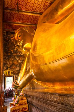 Oturma ve Wat Pho Tapınağı, Bangkok, Tayland meditasyon Buda heykeli