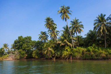 Similan Island Sahil yakınındaki Phuket Tayland