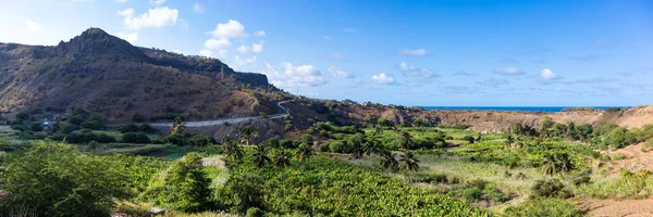 Plantação Coco Cana Açúcar Perto Calheta São Miguel Ilha Santiago — Fotografia de Stock