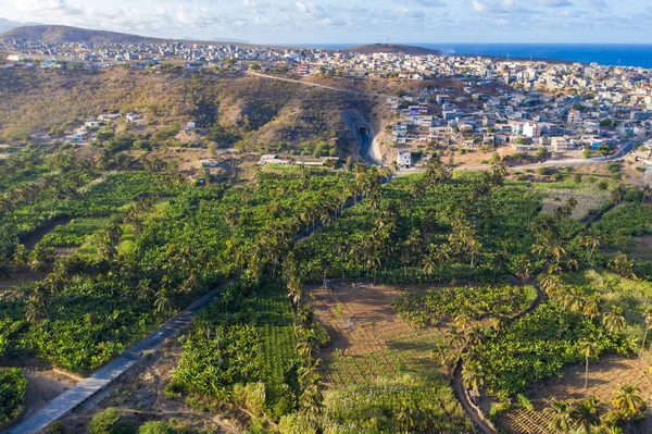 Kokos, banan och socker Canne Plantation nära Achada Fazenda — Stockfoto