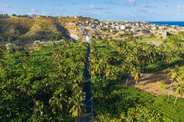Kokos, banan och socker Canne Plantation nära Achada Fazenda — Stockfoto