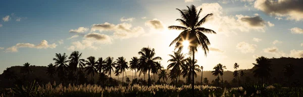 Pôr do sol na plantação de coco e canne de açúcar perto de Achada Fazenda — Fotografia de Stock