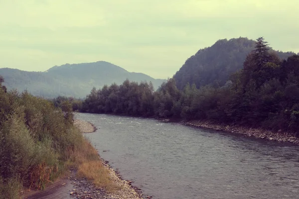 Rivière Est Sur Fond Les Montagnes Des Carpates — Photo