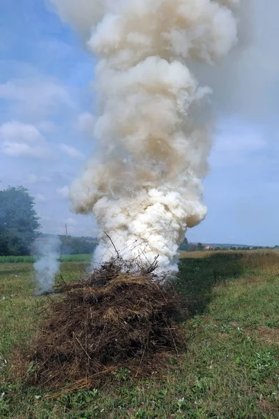 Incineration Dry Grass Royalty Free Stock Images