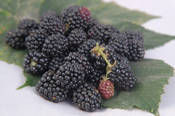 Harvest Ripe Blackberries Juicy Fruits — Stock Photo, Image