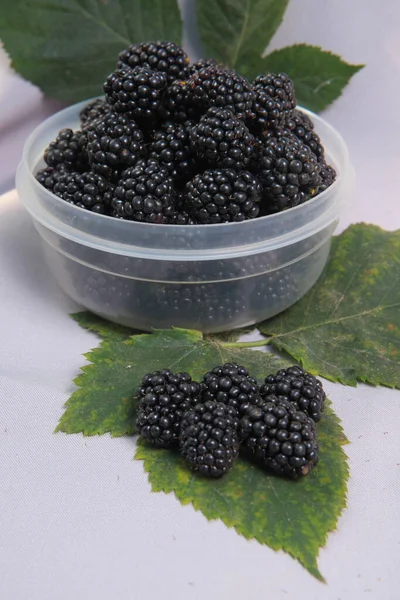 Harvest Ripe Blackberries Juicy Fruits — Stock Photo, Image