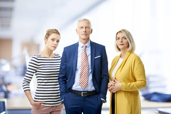 Group Business People Standing Office Senior Financial Director Businessman Wearing — Stock Photo, Image