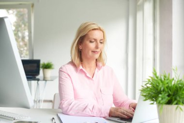 dizüstü bilgisayar ve bilgisayar kullanarak çalışma office ve evrak işi kadın kıdemli