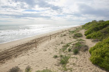 Dune ve bulutlu gökyüzü ile güzel bir sahil ile bardak.