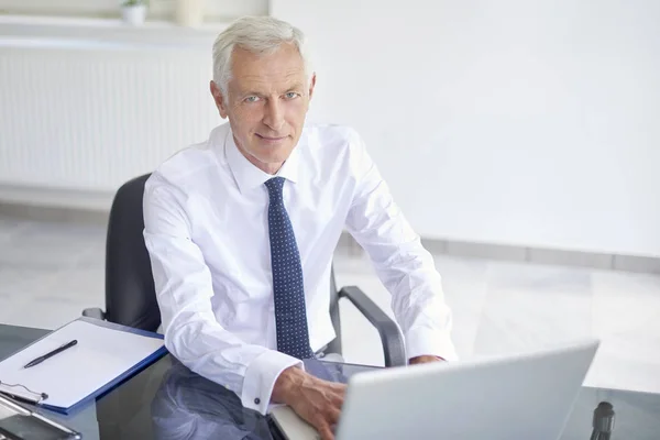 Executive Senior Businessman Posing Office Desk Laptops — Stock Photo, Image