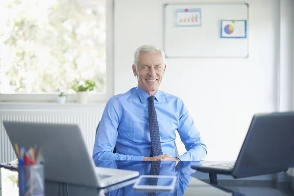 Portrait of senior financial consultant businessman sitting at office desk and working on laptops.