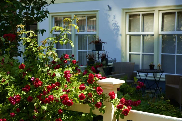 Dış mekan mobilyaları ile eski ev penceresi ve veranda 