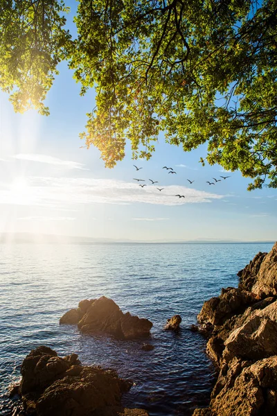 Kayalıklarla deniz manzarası ve gün doğumuyla deniz....