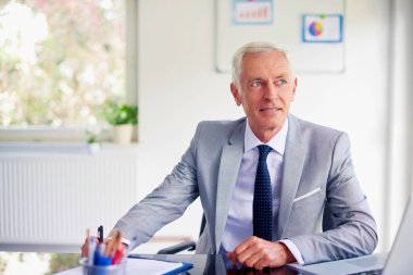 Ofiste oturup çalışırken dizüstü bilgisayarda çalışan kıdemli mali danışman işadamının fotoğrafı.. 