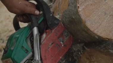 Zincirli Ağaç kesme testereleri uçan talaşla