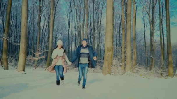 Pareja caminando por el bosque de invierno — Vídeos de Stock