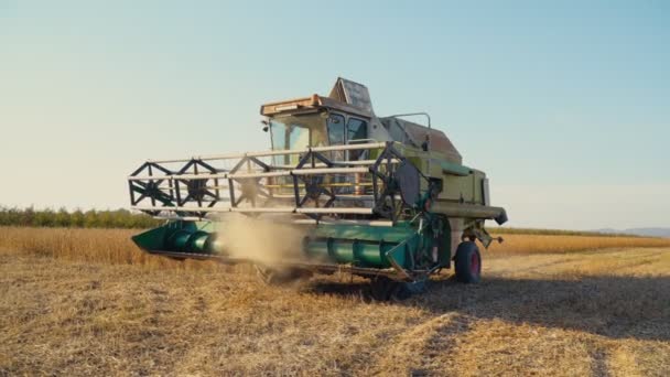 Skörd av sojabönor Combine — Stockvideo