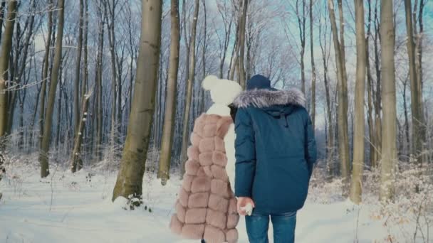 Pareja caminando por el bosque de invierno — Vídeos de Stock