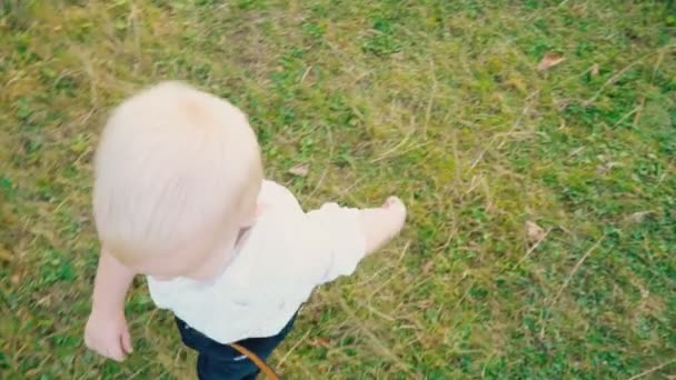 Niño en la naturaleza — Vídeo de stock